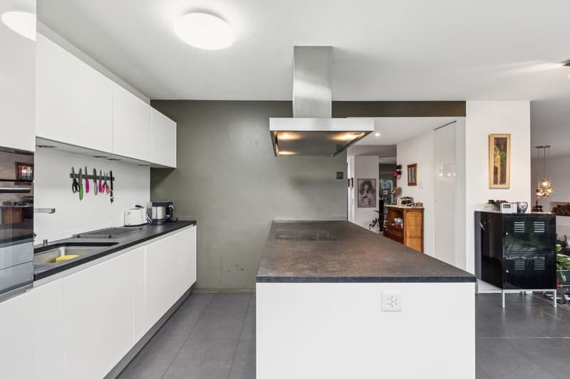 Belle maison individuelle avec grand jardin et jacuzzi (5)