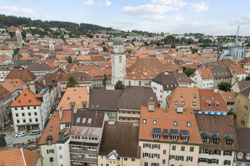 Mixed-use building - Net yield of 6 %, tenants in place (1)