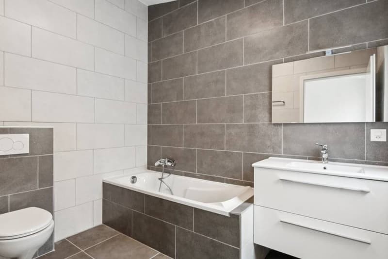 L'Excellence Accessible : Votre Villa Neuve dès CHF 800.- par mois (10)