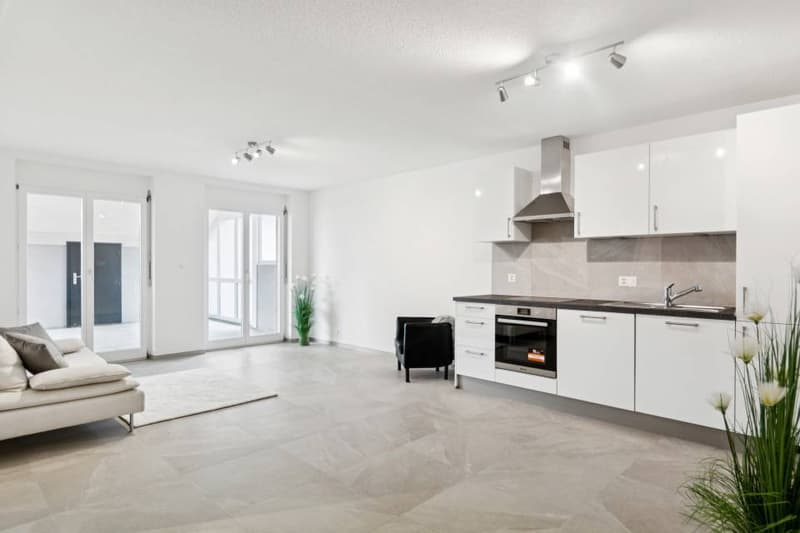 The Art of Living in the Heart of Ajoie: Elegance and Modernity in Alle (8)