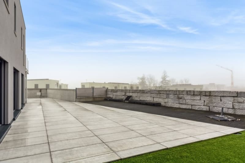 Die Kunst des Lebens: Ein Licht- und Design-Sanctuarium in Corgémont (7)