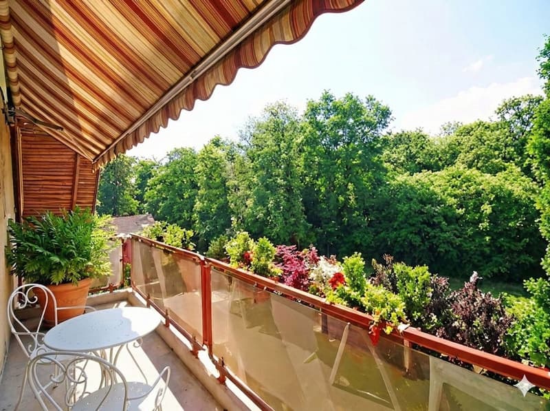 Prestigieux Duplex 5.5 pces "Pieds dans l'eau" avec Salle d'Escalade (1)