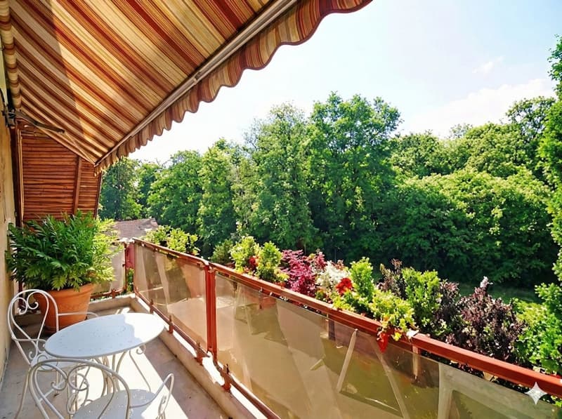 Prestigieux Duplex 5.5 pces "Pieds dans l'eau" avec Salle d'Escalade (1)