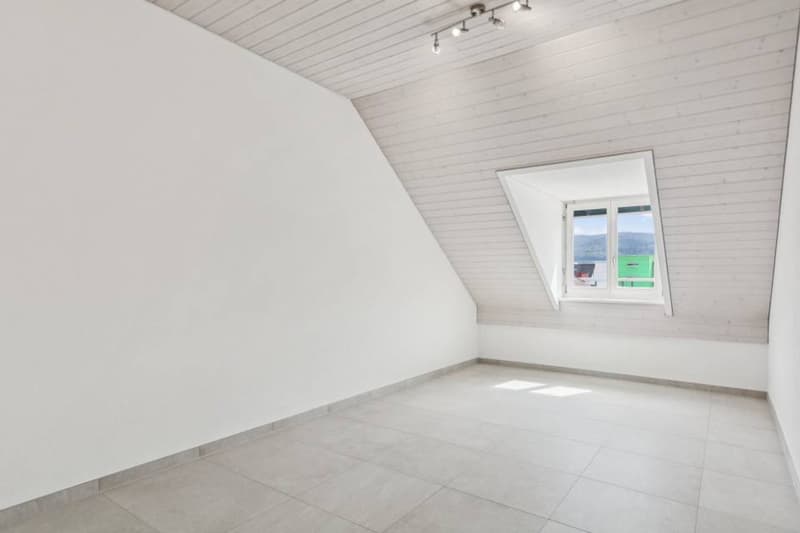 The Art of Living in the Heart of Ajoie: Elegance and Modernity in Alle (11)