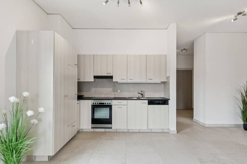 The Art of Living in the Heart of Ajoie: Elegance and Modernity in Alle (4)