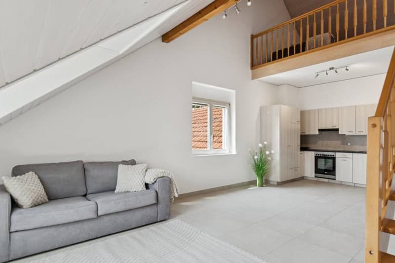 The Art of Living in the Heart of Ajoie: Elegance and Modernity in Alle (7)