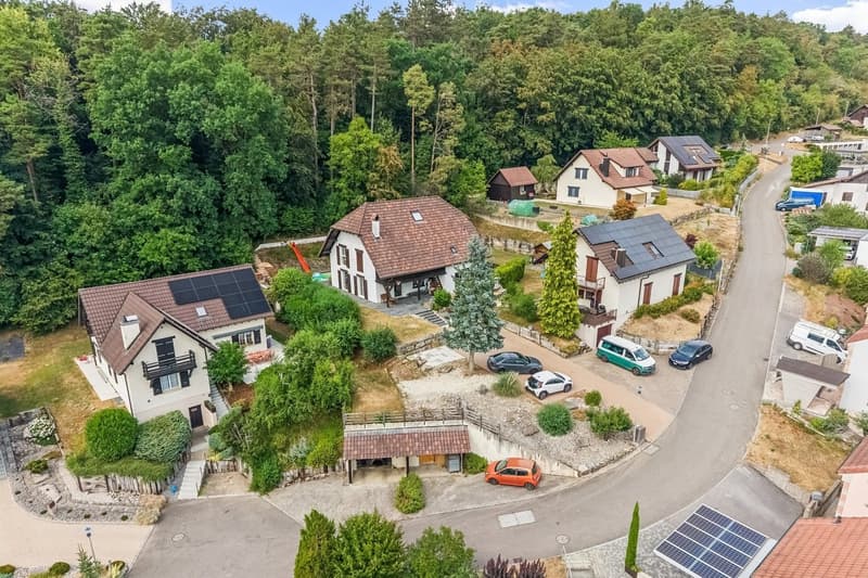 Écrin de prestige en lisière de forêt - Fontenais (1)