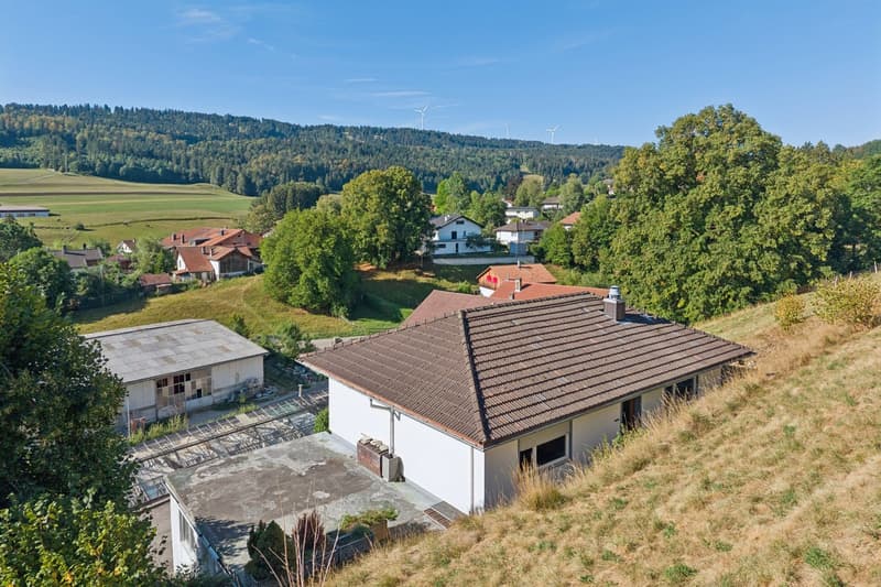 Élégance, potentiel et sérénité au coeur du Jura bernois (4)