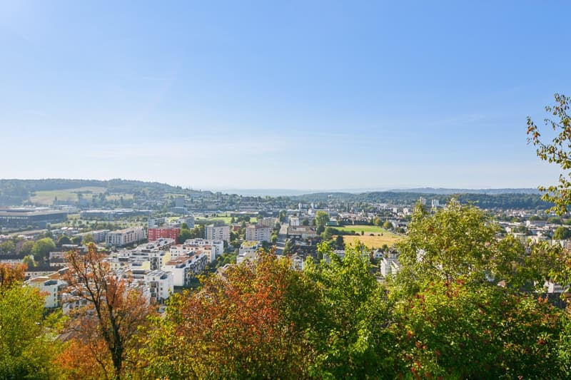Opportunité Exclusive à Bienne -- Maison d'architecte atypique, modular (4)