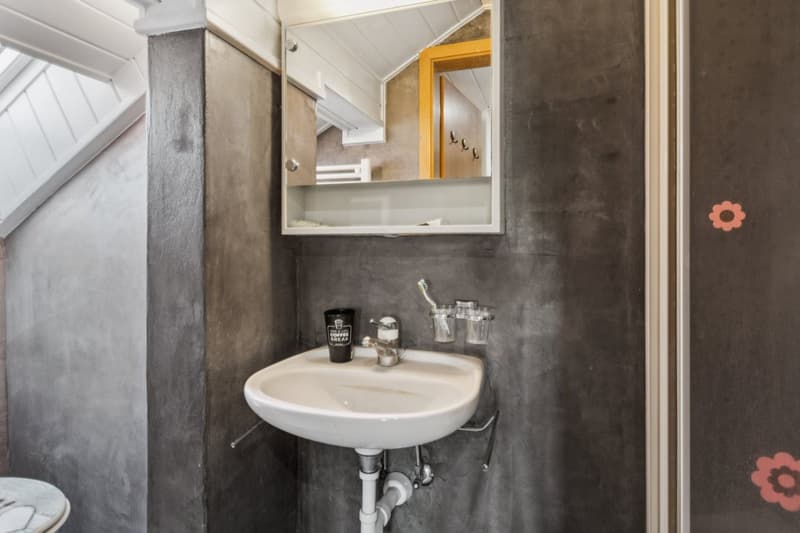 Superbe opportunité : Spacieux appartement duplex rénové en 2026 (7)