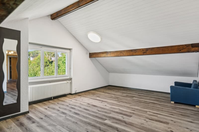 Superbe opportunité : Spacieux appartement duplex rénové en 2026 (9)