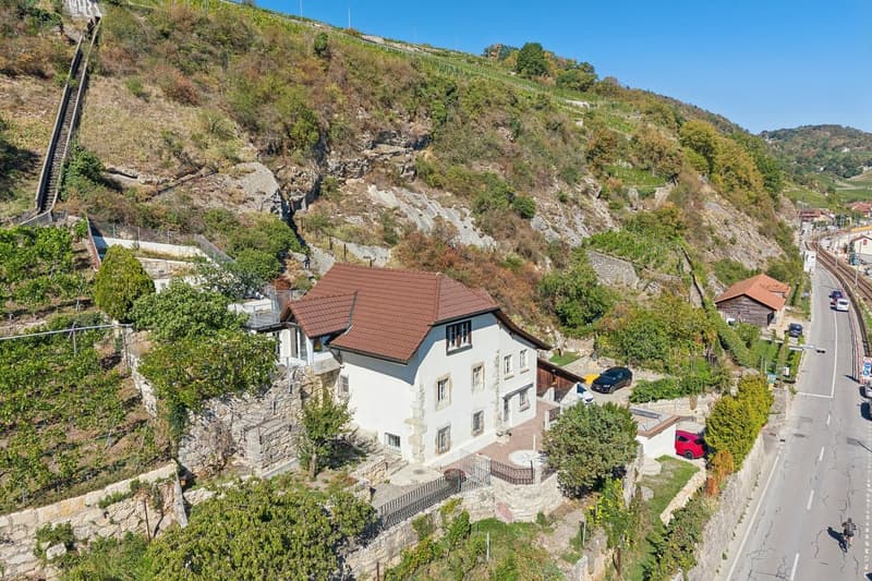 LIGNES PURS & HISTOIRE VIGNERONNE AU BORD DU LAC DE BIENNE (5)