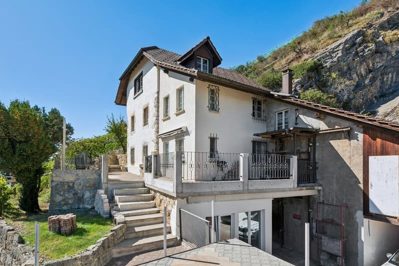 LIGNES PURS & HISTOIRE VIGNERONNE AU BORD DU LAC DE BIENNE (9)