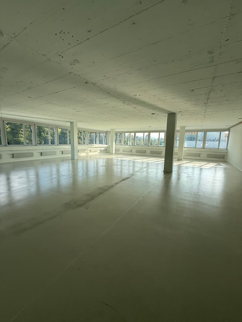 Espace commercial polyvalent à Kloten à louer (9)