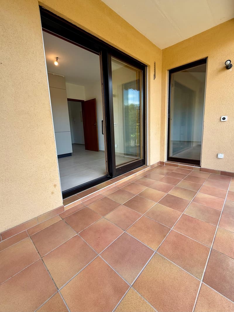 Luminoso appartamento 4.5 locali completamente ristrutturato (6)