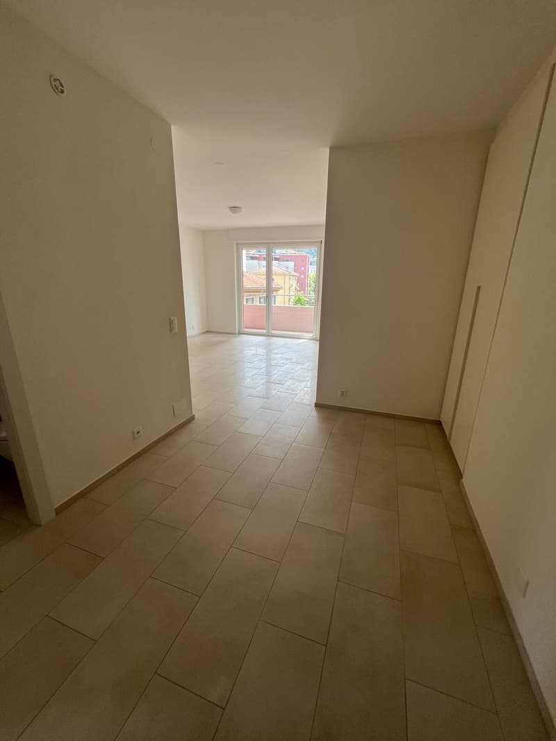 Lugano - Affittasi 2.5 locali completamente ristrutturato (4)