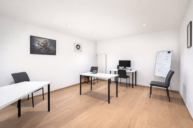Modern offices in the heart of Geneva (13)