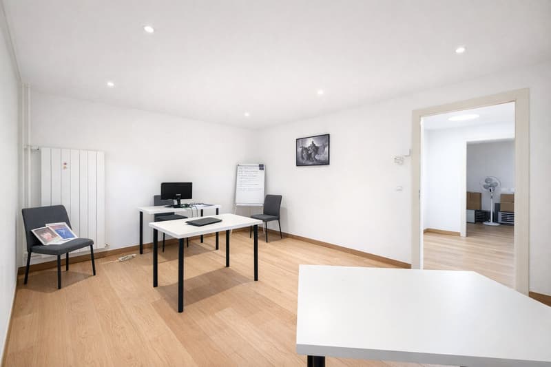 Modern offices in the heart of Geneva (14)