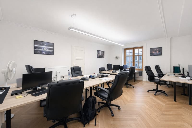 Modern offices in the heart of Geneva (11)