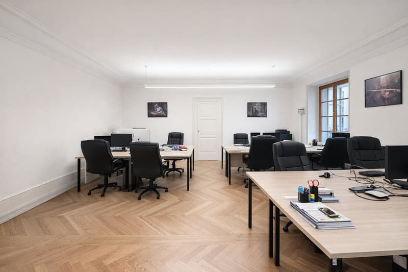 Modern offices in the heart of Geneva (8)