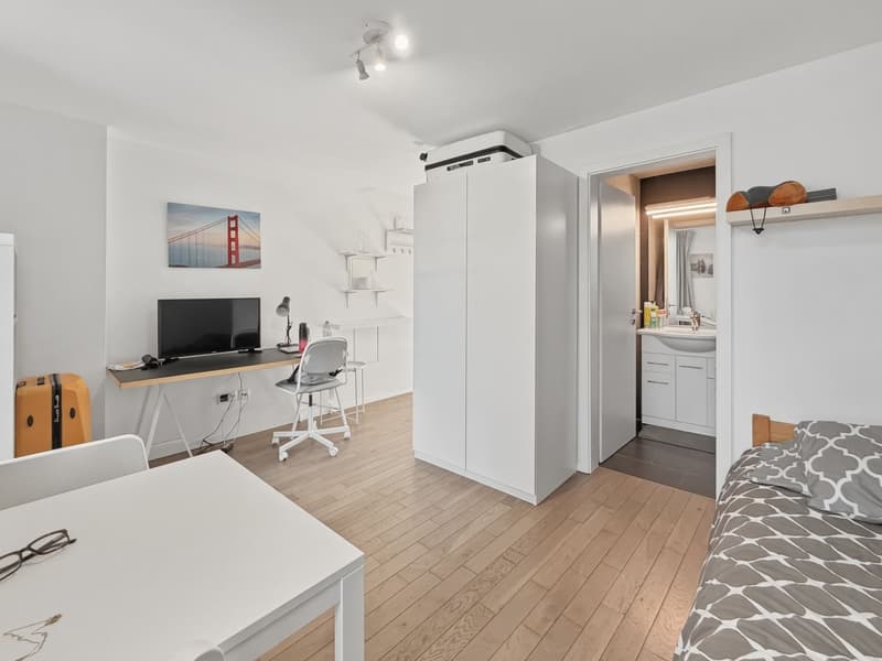Vicino alla stazione di Cornavin - Appartamento completamente arredato (2)