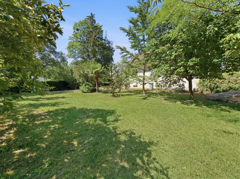 Charmante maison individuelle à Versoix – disponible dès août 2026 (3)