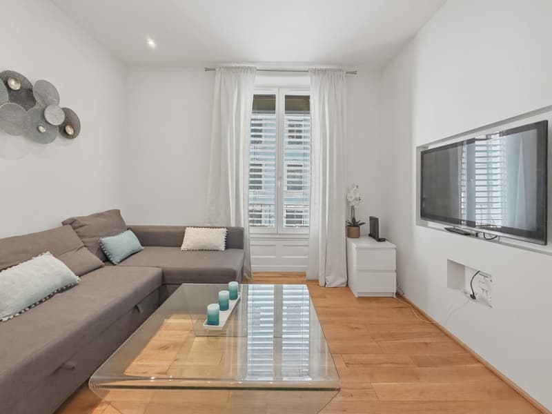 Schönes 2.5-Zimmer-Apartment möbliert - Hyperzentrum von Genf (4)