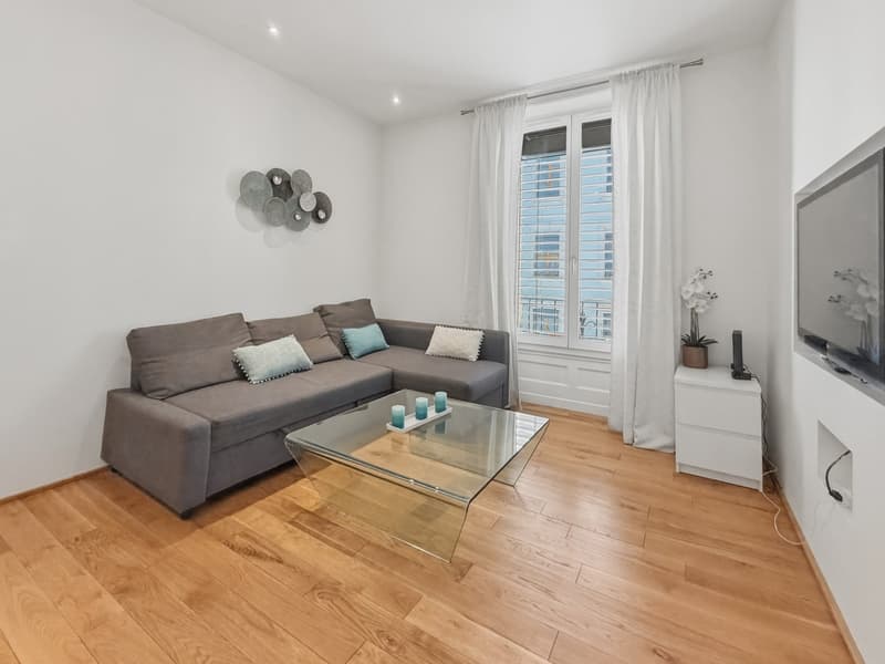 Schönes 2.5-Zimmer-Apartment möbliert - Hyperzentrum von Genf (13)