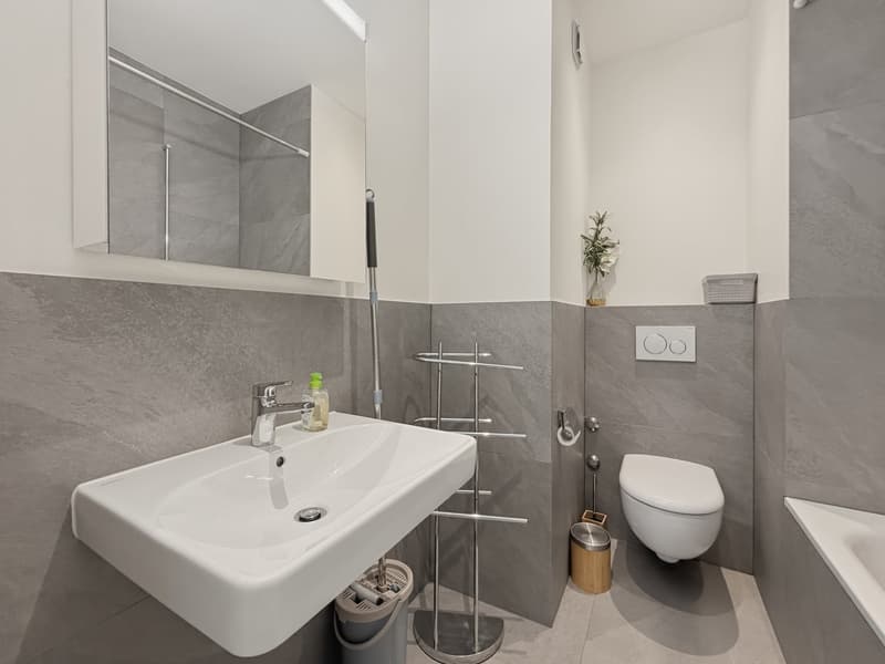 Schönes 2.5-Zimmer-Apartment möbliert - Hyperzentrum von Genf (10)