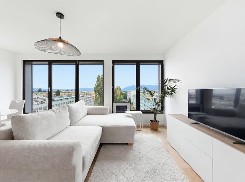 Magnifique Appartement moderne - Letztes Stockwerk (3)