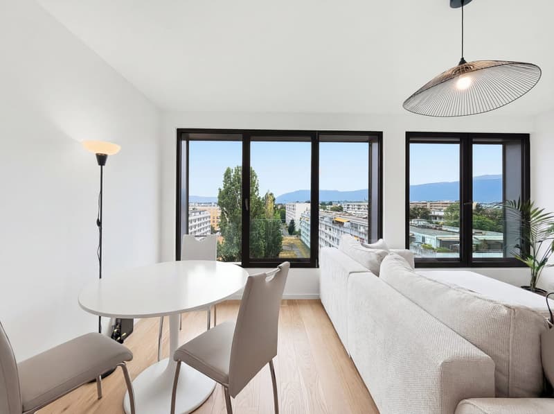 Magnifique Appartement moderne - Letztes Stockwerk (4)