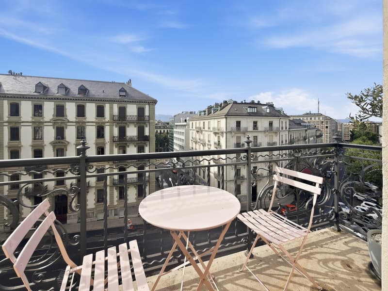 Charmant appartement de 5 pièces (2 chambres) au cœur de Genève – Boulevard Helvétique (16)