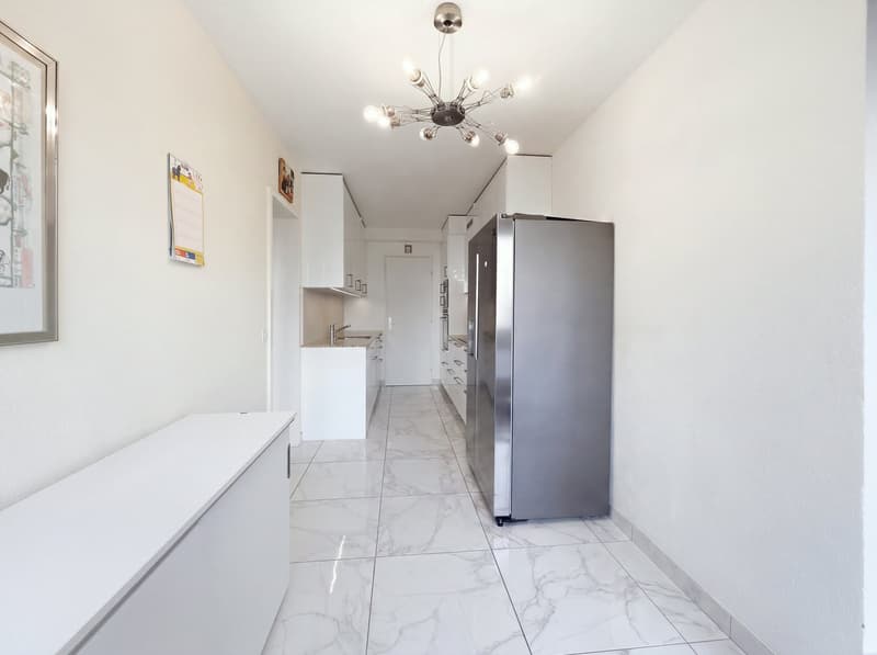 Appartamento luminoso di 3 locali arredato con balcone – Route de Florissant, Ginevra (15)