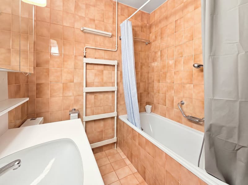 Spacieux appartement familial de 5.5 pièces avec balcon et parking à Carouge (17)