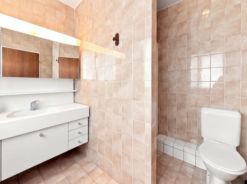 Spacieux appartement familial de 5.5 pièces avec balcon et parking à Carouge (12)