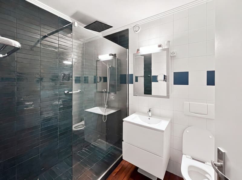 Appartement de 4.5 pièces meublé – Quartier des Eaux-Vives (13)