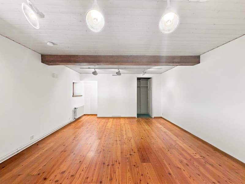 Spacieux appartement 5 pièces en duplex à Confignon (15)
