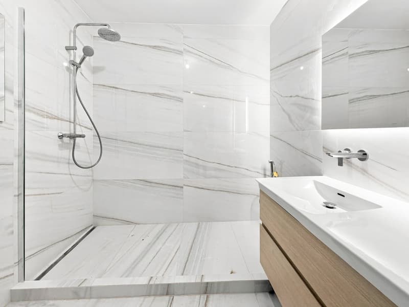 Appartement rénové avec balcon – Route de Florissant, Genève (13)