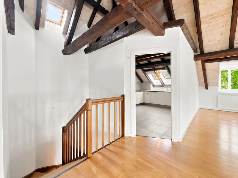 Spacieux appartement de 6.5 pièces avec charme et caractère à Chambésy (10)