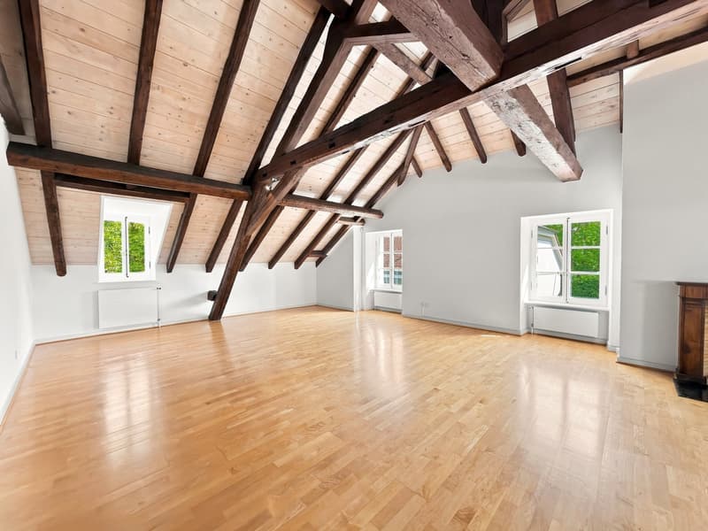 Spacieux appartement de 6.5 pièces avec charme et caractère à Chambésy (4)