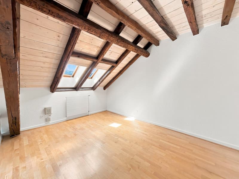 Spacieux appartement de 6.5 pièces avec charme et caractère à Chambésy (9)
