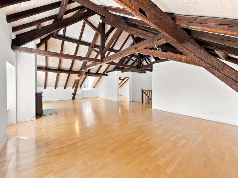 Spacieux appartement de 6.5 pièces avec charme et caractère à Chambésy (2)