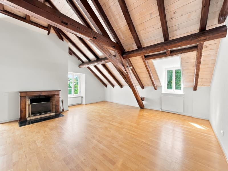 Spacieux appartement de 6.5 pièces avec charme et caractère à Chambésy (3)
