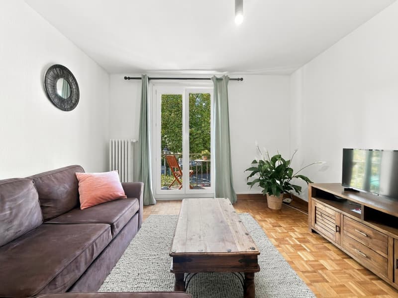 Charmant appartement meublé avec balcon (3)