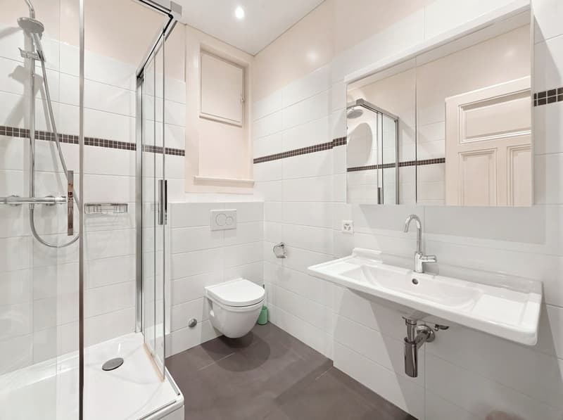 Magnifique appartement 7.5P en plein centre ville (19)