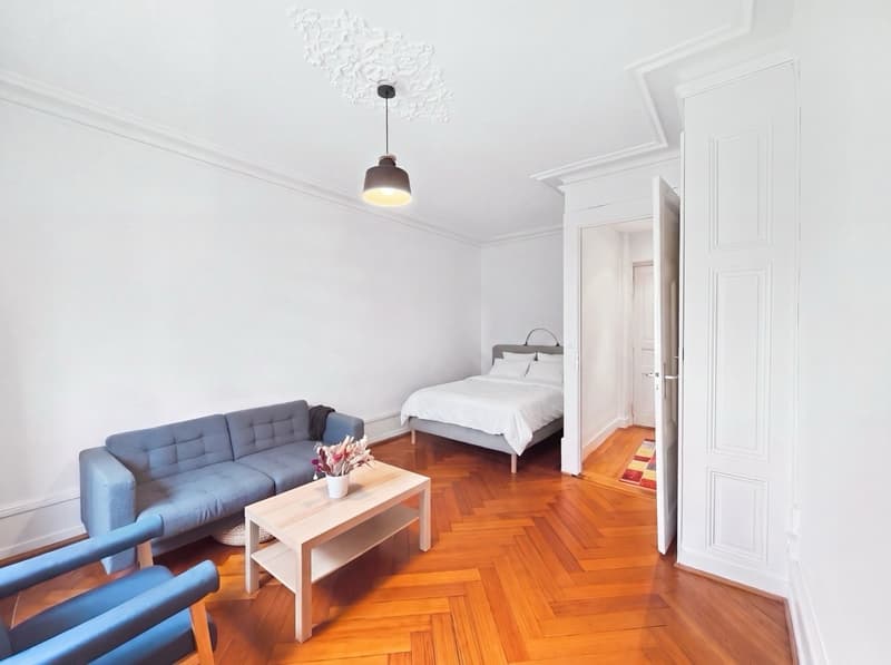 Charmant appartement meublé de 2 pièces à louer – Rue de Vermont, Genève (2)