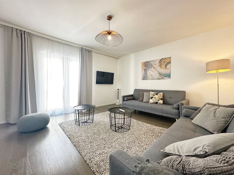 Appartement neuf et meublé - Centre-ville (15)