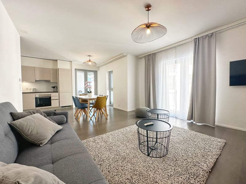 Appartement neuf et meublé - Centre-ville (17)