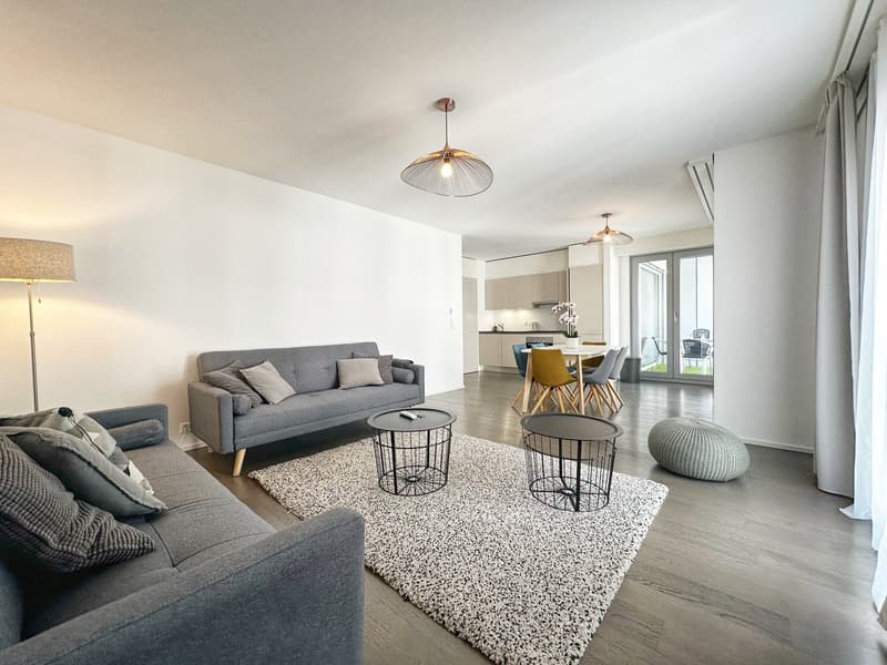 Appartement neuf et meublé - Centre-ville (1)