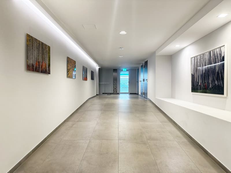 Appartement neuf et meublé - Centre-ville (19)